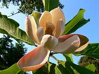 31-05-2007_20-54-06_27