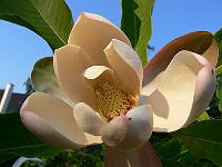 31-05-2007_20-54-57_38