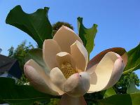 31-05-2007_20-55-28_45