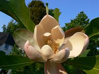 31-05-2007_20-55-46_49