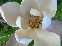 31-05-2007_20-57-15_70