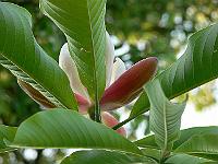 31-05-2007_20-58-14_84