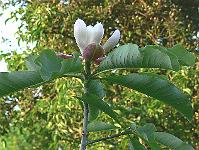31-05-2007_20-59-47_108