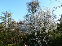 2009-04-18_07-19-15_0102