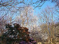 20-04-05kodak_032