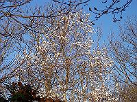 20-04-05kodak_034