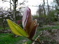 2009-04-22_17-33-32_0066