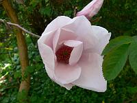 2009-04-25_07-35-20_0066