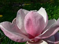 2010-05-20_16-02-27_0351