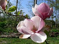 2010-05-21_07-59-30_0057