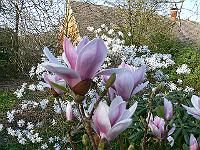 16-04-2007_17-55-31_07