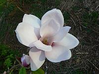 16-04-2007_17-55-59_14