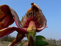 2011-04-19_17-10-43_0100