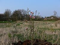2011-04-19_17-13-28_0121