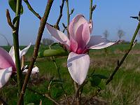 2011-04-20_07-38-53_0049