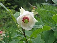 01-06-05canon_096