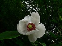 24-05-2007_14-11-43_22