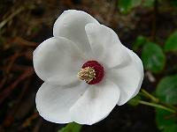 2010-09-10_16-21-26_0006