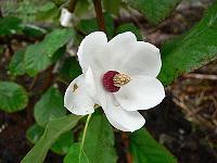 2010-09-10_16-22-22_0021