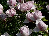 08-05-2006_11-30-23_328