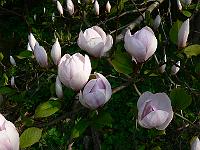 2011-04-22_08-29-28_0178