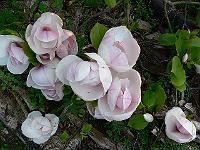 2011-04-23_06-29-35_0096