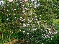 2011-04-27_16-14-18_0142