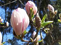 24-04-05kodak_137