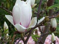 02-05kodak_091