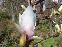 24-04-05kodak_222