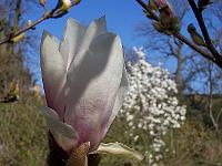 24-04-05kodak_224