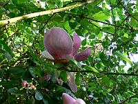 05-05-2007_18-40-02_114