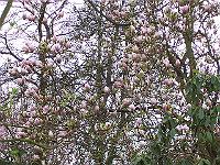 01-05kodak_043