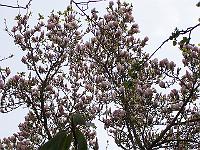 01-05kodak_044