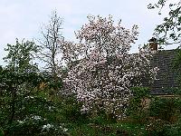 2009-04-27_08-02-09_0046