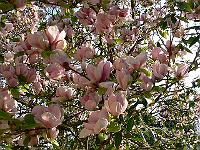 2009-04-30_07-04-38_0007