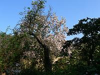 2009-04-30_07-11-44_0053
