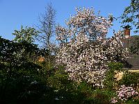 2009-04-30_07-13-32_0068