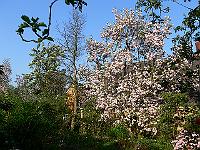 2009-04-30_07-13-44_0070
