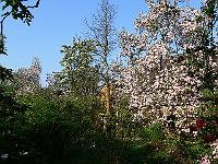 2009-04-30_07-13-56_0074