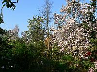 2009-04-30_07-14-05_0076