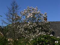 2011-04-24_08-49-10_0217