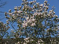 2011-04-24_08-49-23_0220