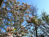 2011-04-25_08-31-52_0165