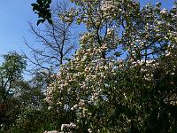 2011-04-29_07-56-17_0209