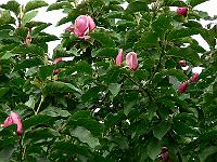 27-08-2007_14-15-51_30