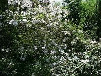 06-05-2008_22-13-11_142