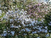 12-04-2007_20-26-03_53