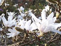 22-04-05kodak_075