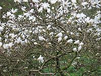 img_0316